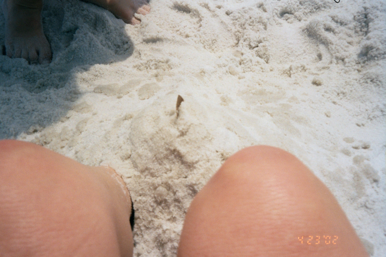 ./Ragtime/49 - Pensacola FL Apr 22 to Apr 24/picture29.jpg